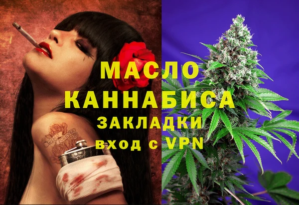 индика Осташков