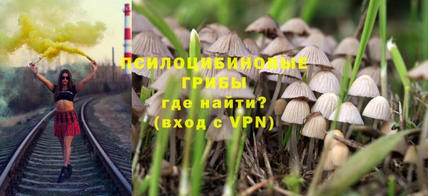 сатива Ступино