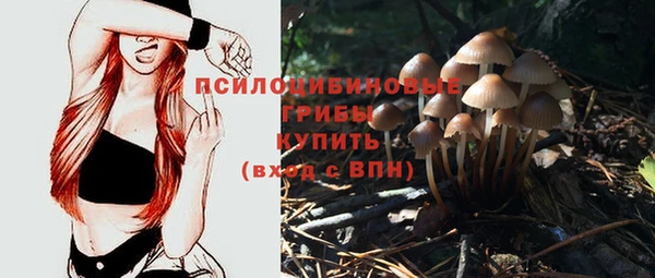spice Няндома