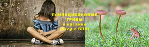 индика Осташков