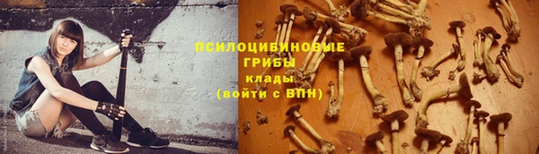 MESCALINE Нязепетровск