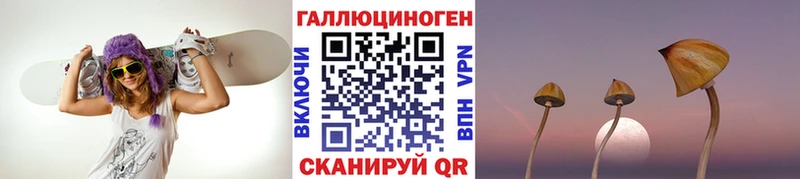 Галлюциногенные грибы Cubensis Соликамск