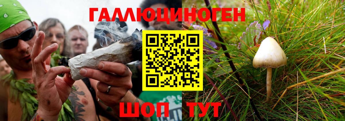 Галлюциногенные грибы мицелий Соликамск