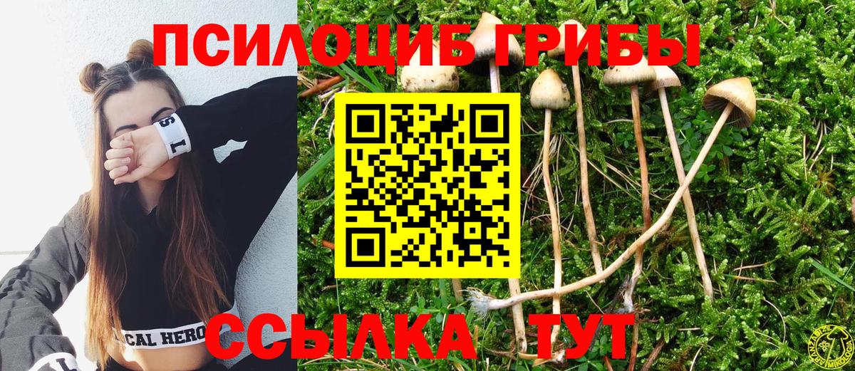 Галлюциногенные грибы Magic Shrooms  Соликамск  Галлюциногенные грибы Psilocybine cubensis 