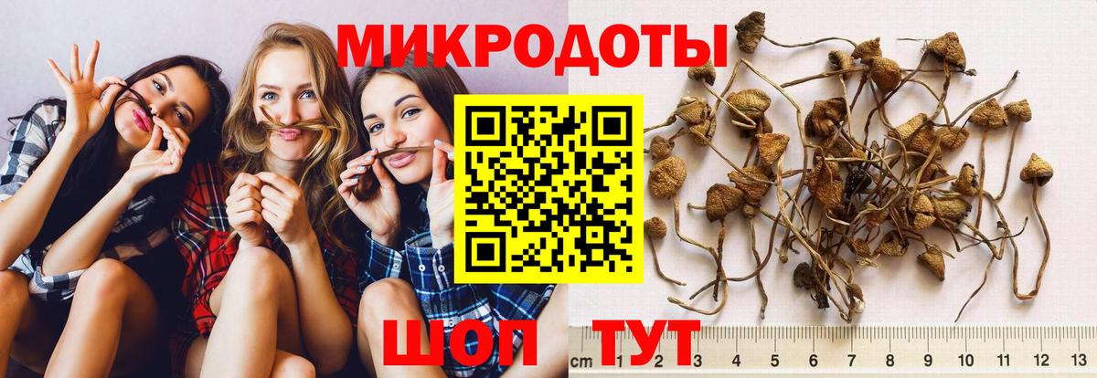 цены наркотик  Галлюциногенные грибы Psilocybe  Вход с VPN  Соликамск 